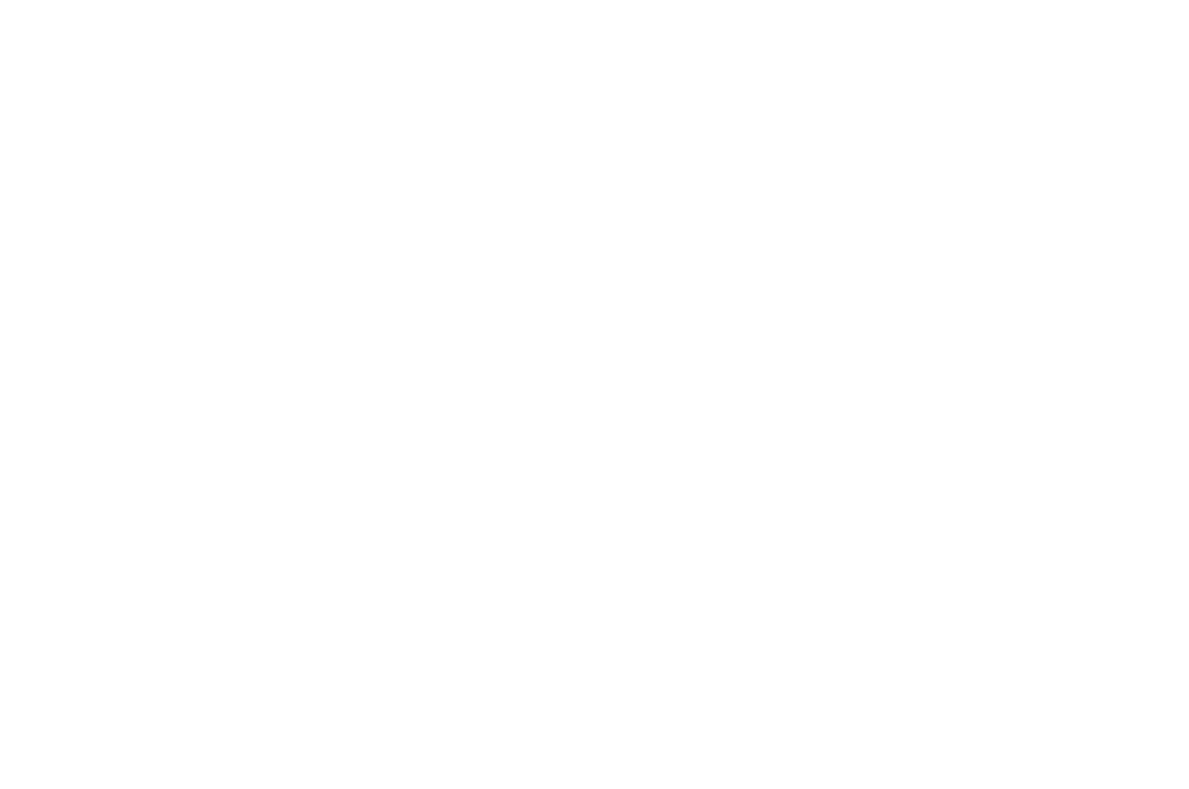 Official Selection, New York No Limits Film Series 2022